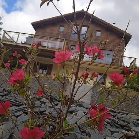 Le Cerf, Superbe Vue, Piscine Privee בקתה Ban-sur-Meurthe-Clefcy