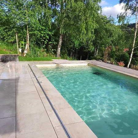 Le Cerf, Superbe Vue, Piscine Privee * Ban-sur-Meurthe-Clefcy